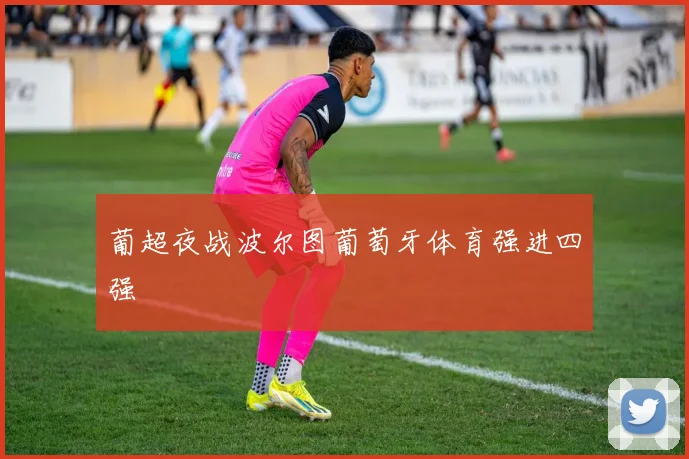 葡超夜战波尔图葡萄牙体育强进四强