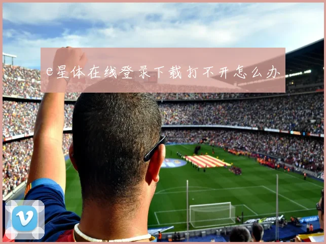 e星体在线登录下载打不开怎么办