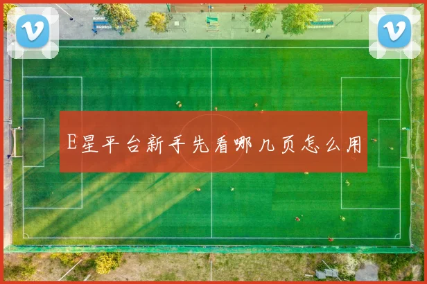 E星平台新手先看哪几页怎么用