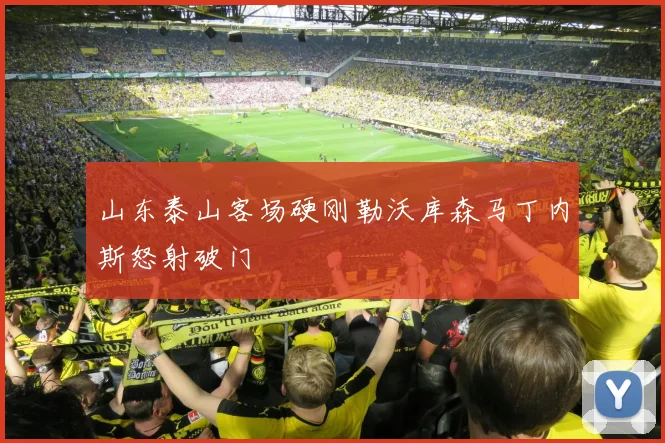 山东泰山客场硬刚勒沃库森马丁内斯怒射破门